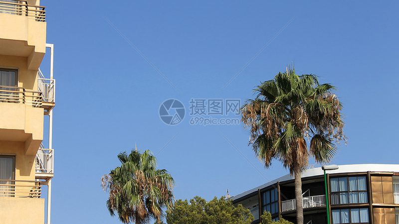 小标题：邮轮旅行，一场浪漫的航行